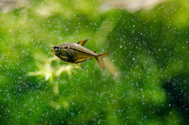 Similar image 858382