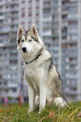 Similar image 858383