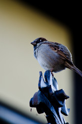 Similar image 858401