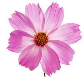 Similar image 858403