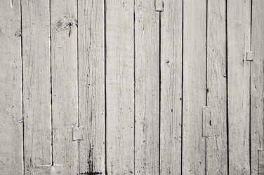 Similar image 858419