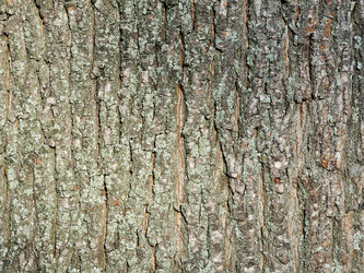 Similar image 858458