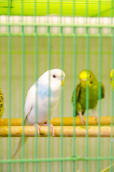 Similar image 858491