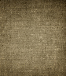 Similar image 858556