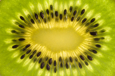 Similar image 858599