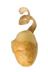 Similar image 858606