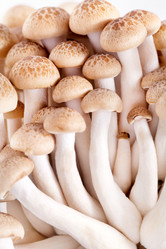 Similar image 858637