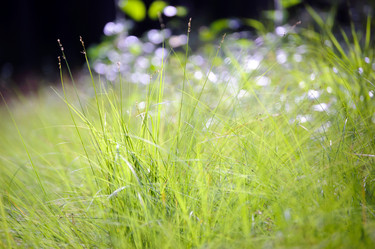 Similar image 858660