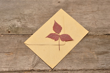 Similar image 858722