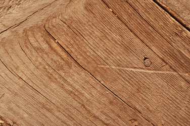 Similar image 858726