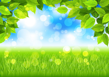 Similar image 858773