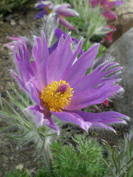 Similar image 858889