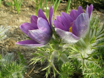 Similar image 858890