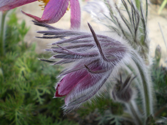 Similar image 858893