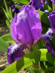 Similar image 858895