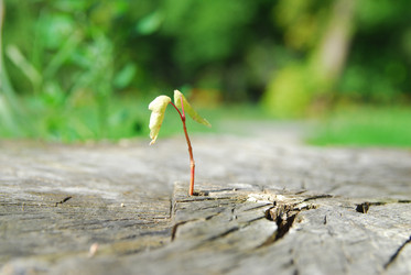 Similar image 858915