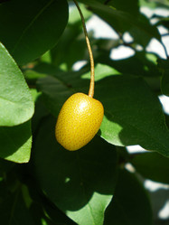 Similar image 858944