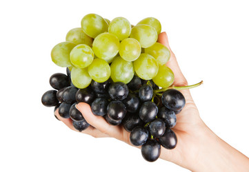 Similar image 858971