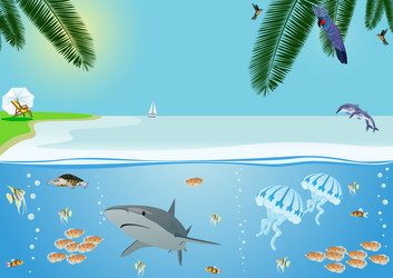 Similar image 859045