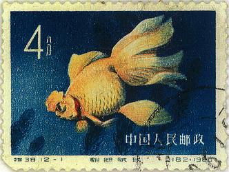 Similar image 859050