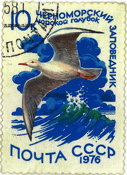 Similar image 859051