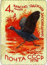 Similar image 859052