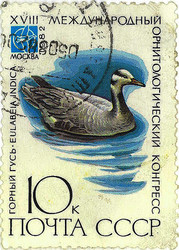 Similar image 859053