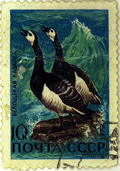 Similar image 859054