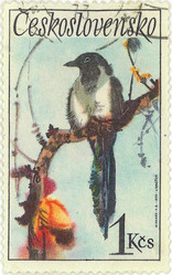 Similar image 859055