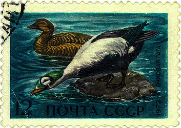 Similar image 859056