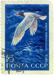 Similar image 859063