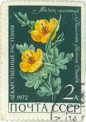 Similar image 859065