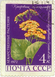 Similar image 859066