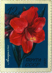 Similar image 859067