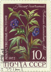 Similar image 859068