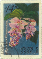 Similar image 859071