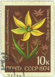 Similar image 859072