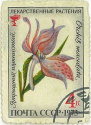 Similar image 859073