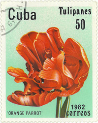 Similar image 859075