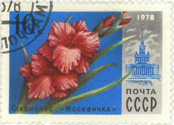 Similar image 859076