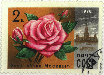 Similar image 859077