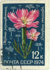 Similar image 859079