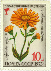 Similar image 859080