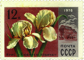 Similar image 859082