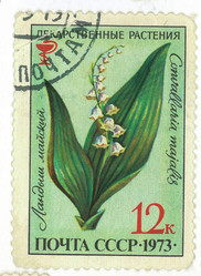 Similar image 859083