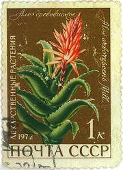 Similar image 859084