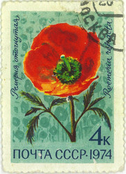 Similar image 859085