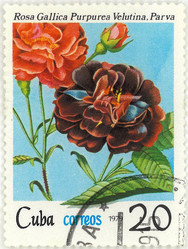 Similar image 859086