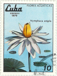 Similar image 859088