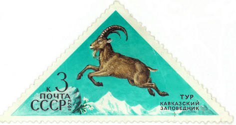 Similar image 859089